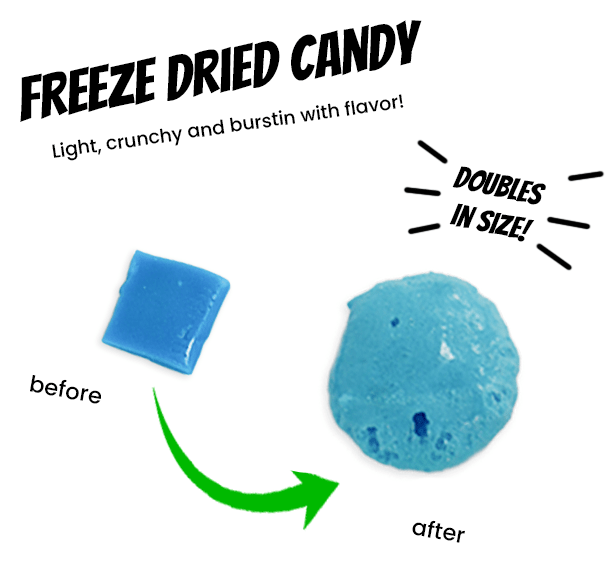 Freeze Dried Airhead Bites - Candywrap.nl