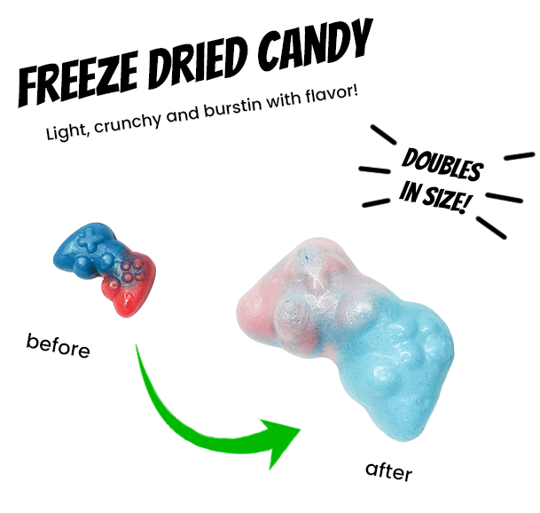 Freeze Dried Bubbilicious Controllers - Candywrap.nl