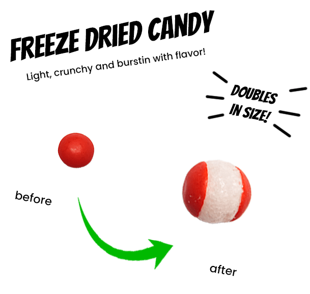 Freeze Dried Skittles Dessert - Candywrap.nl