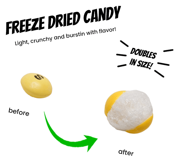 Freeze Dried Skittles Smoothies - Candywrap.nl