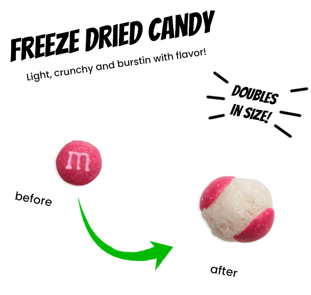 Freeze Dried Skittles Sour - Candywrap.nl