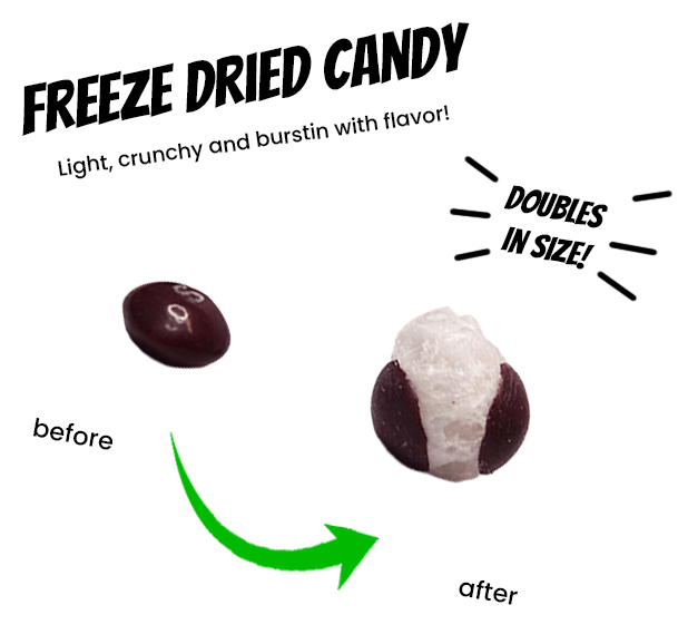 Freeze Dried Skittles Wild Berry - Candywrap.nl