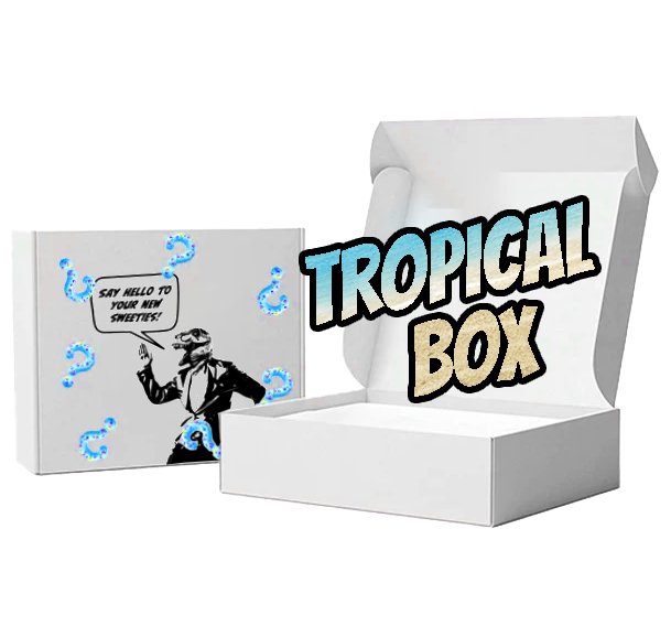 Tropical Fruit Box - Candywrap.nl