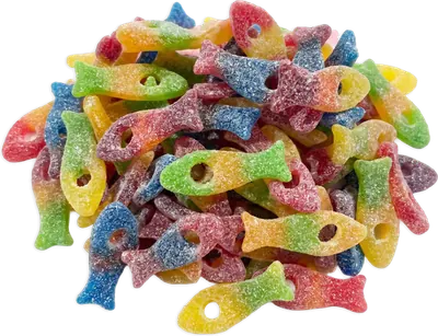 Matthijs: Crazy Sour Fishes
