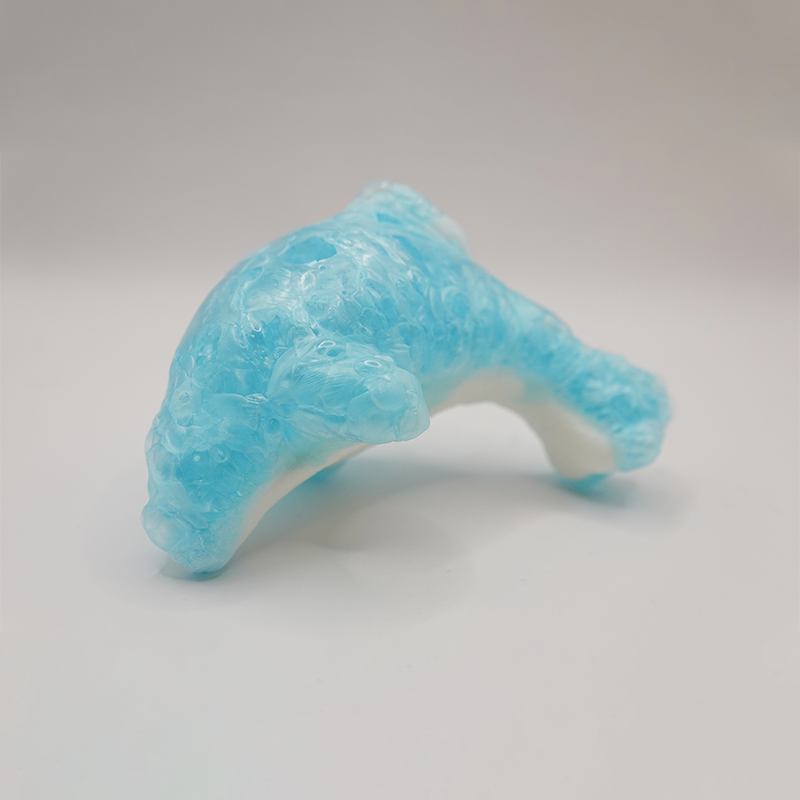 Freeze Dried Dull Dolphins