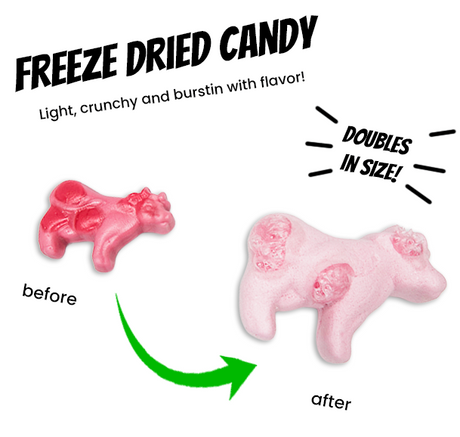 Freeze Dried Holy Cows
