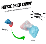 Freeze Dried Bubbilicious Controllers - Candywrap.nl