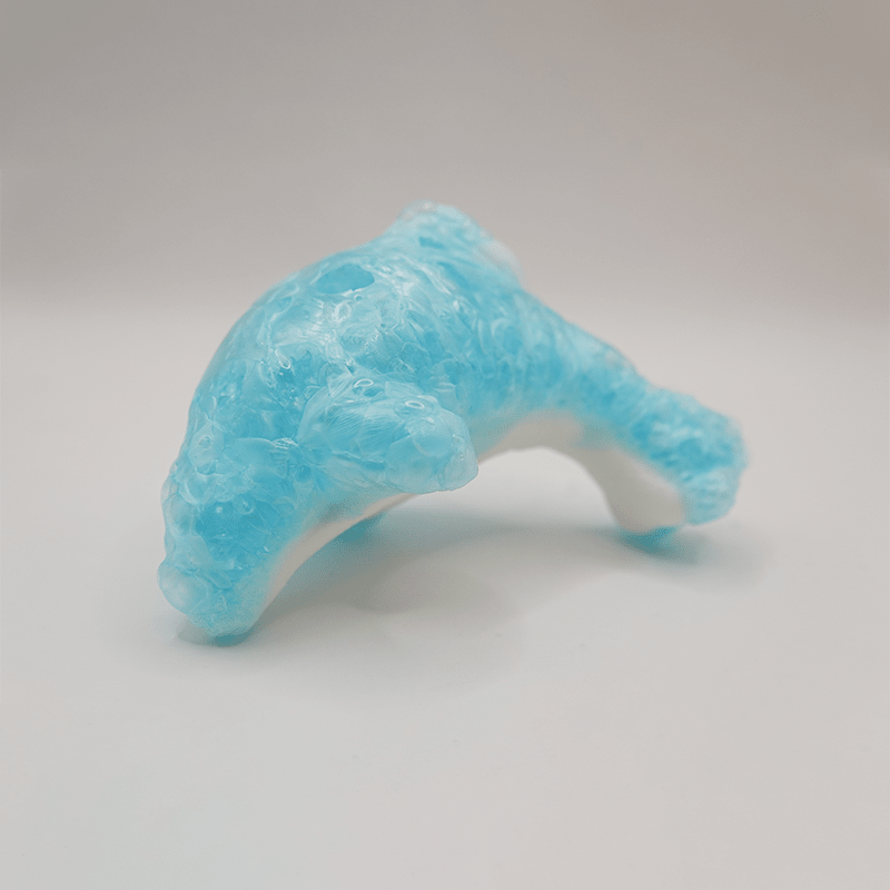 Freeze Dried Dull Dolphins - Candywrap.nl