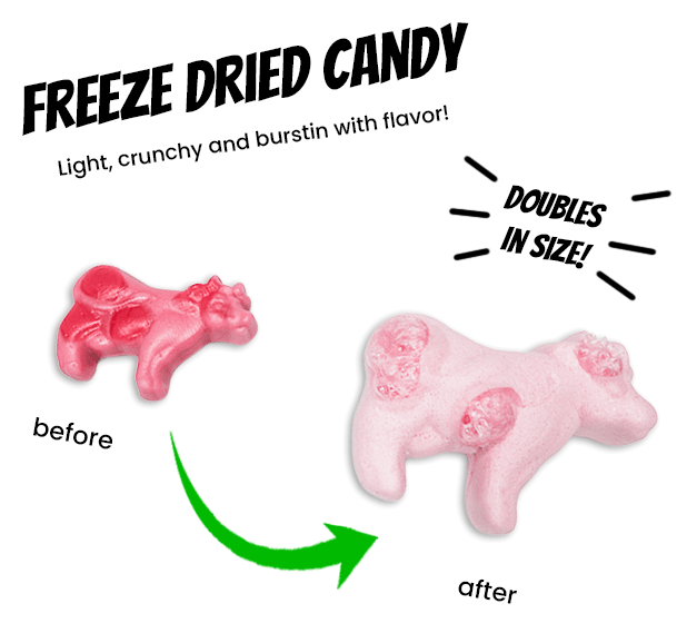 Freeze Dried Holy Cows - Candywrap.nl