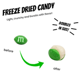 Freeze Dried Skittles Fruit - Candywrap.nl