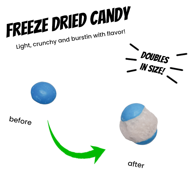 Freeze Dried Skittles Tropical - Candywrap.nl