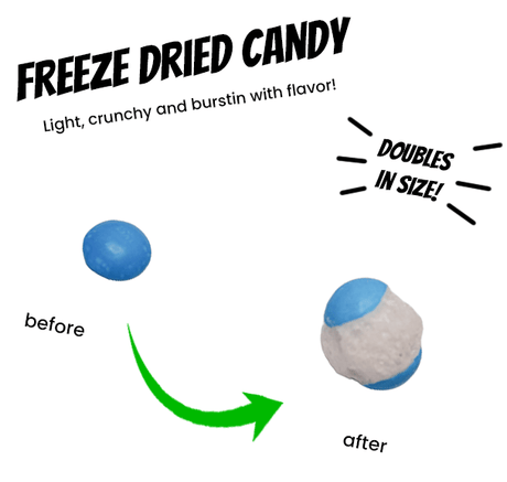 Freeze Dried Skittles Tropical - Candywrap.nl