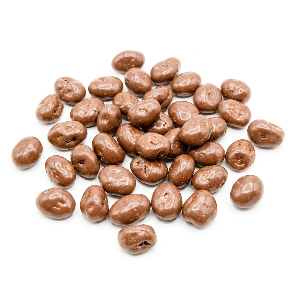Choco Jumbo Raisin Milk