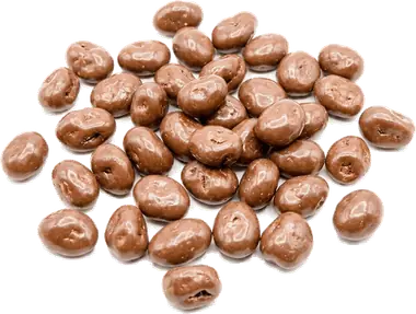 Choco Jumbo Raisin Milk