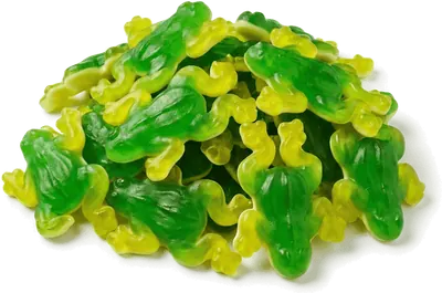 Fini: Giant Clear Frog