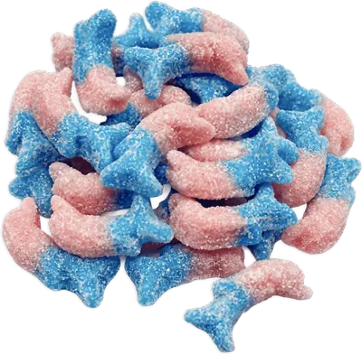 Bubblegum Dolphins