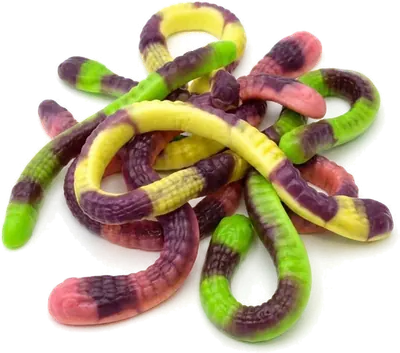 Vidal : Anaconda