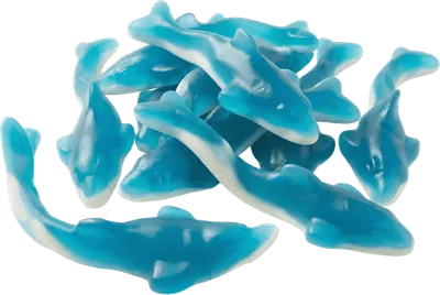 Vidal: Giant Clear Dolphins
